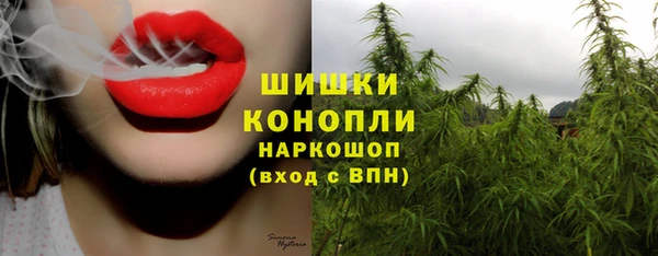дмт Майский