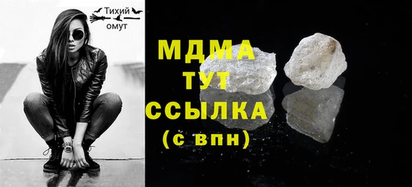 ГАЛЛЮЦИНОГЕННЫЕ ГРИБЫ Тайга