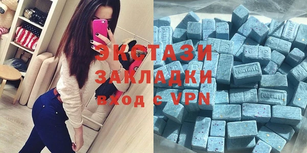 индика Каменка