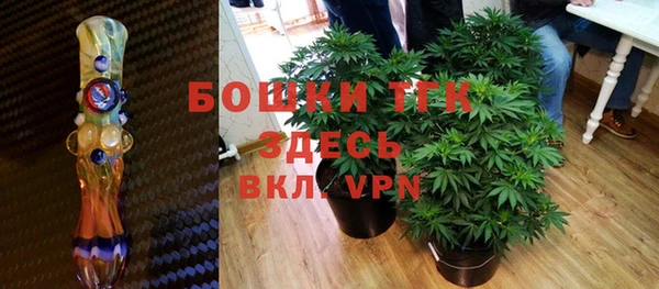 индика Каменка