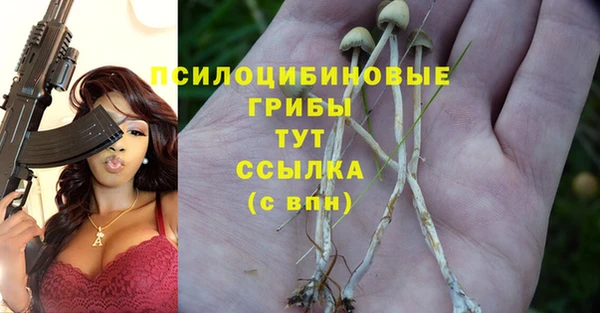 мяу мяу кристалл Липки